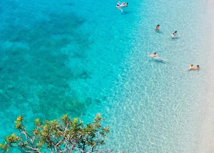 Appartement A 5 Minuti Dal Mare - Dolphin House Spotorno